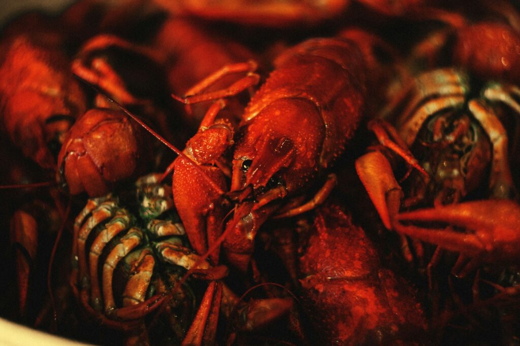 Why Crawfish Tailmeat Is a Warm-Weather Staple 4 Crawfish